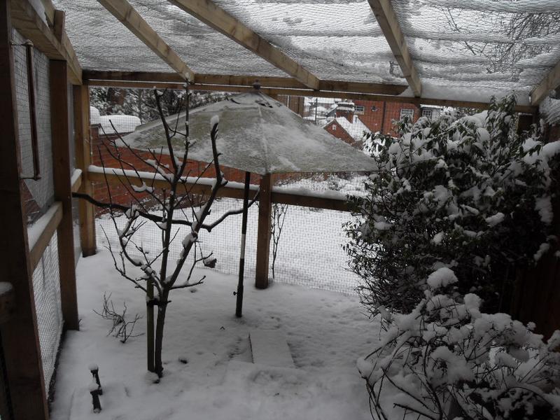 The snow covered run from inside