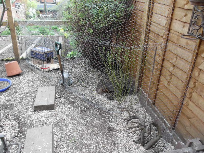 The separated area for the new girls