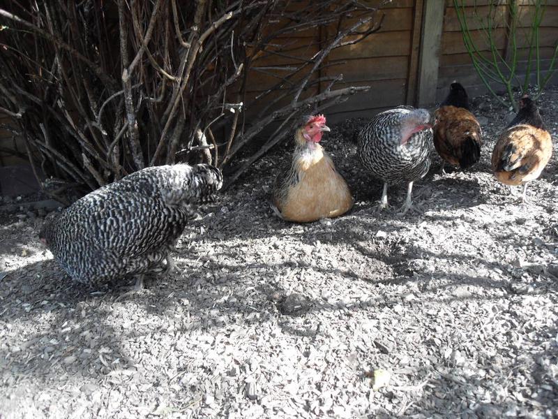 We were all sat together until the camera came towards us