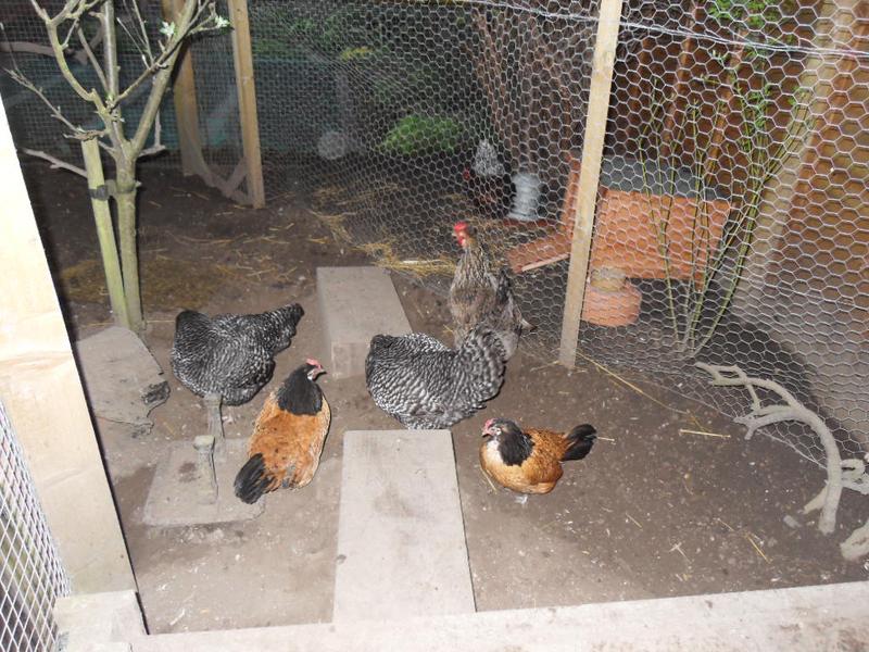 The two sets of girls didn't take much notice of each other