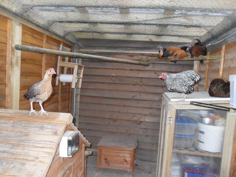Sparkle lets Peaches know she is not welcome on the cabinet