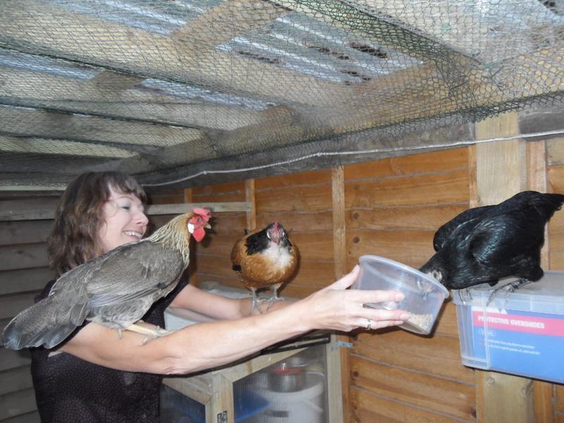 Peaches jumps on my right arm and Amber jumps on my left arm