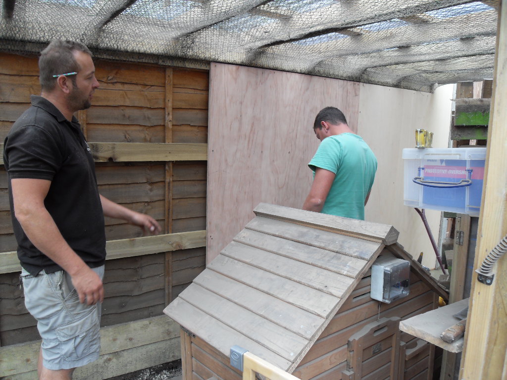 As the neighbours have a deck up against the fence it keeps rotting and we have had to reinforce it so it is now being clad with marine ply
