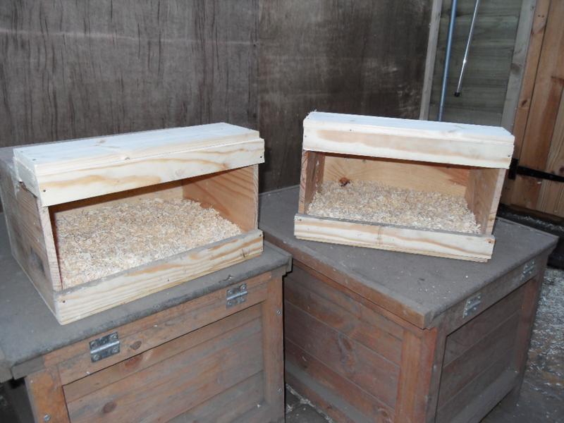 The newly modified nest boxes