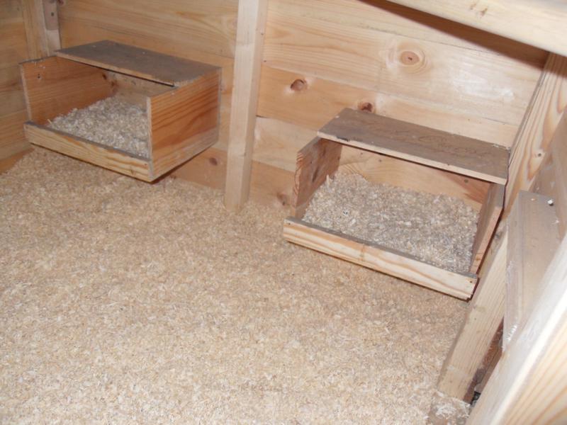 The two home made nest boxes in the chicken shed
