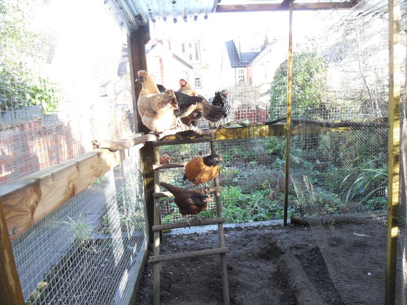 All eight girls are perching together