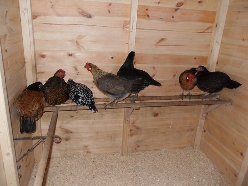 The rest of the girls are getting into their bedtime positions