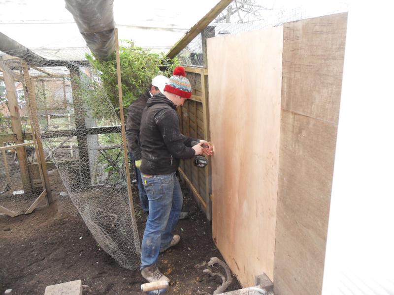 The first sheet of marine ply goes on