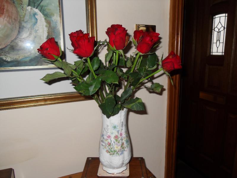 Valentine Roses