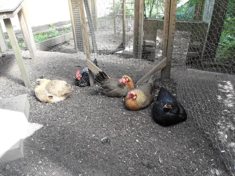 The girls are chilling together