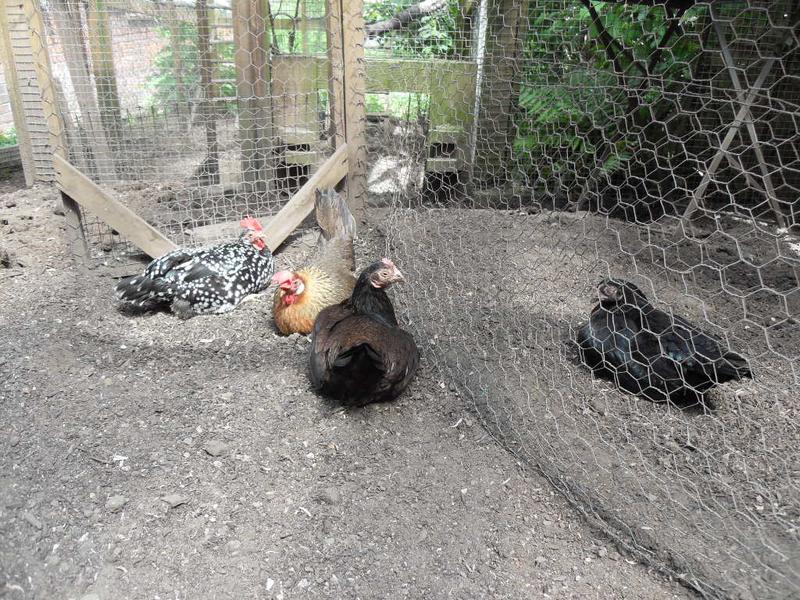 The girls are dosing together in the sun