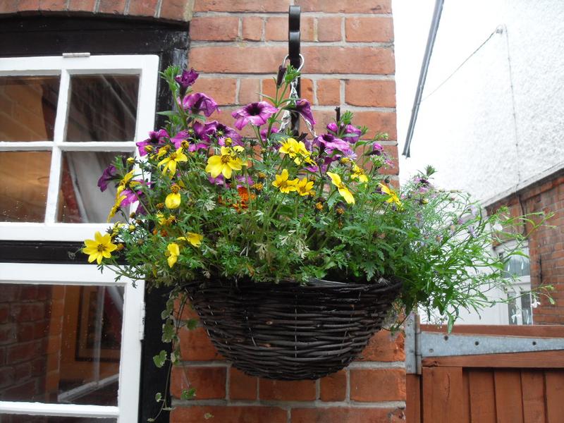 The hanging basket at the back