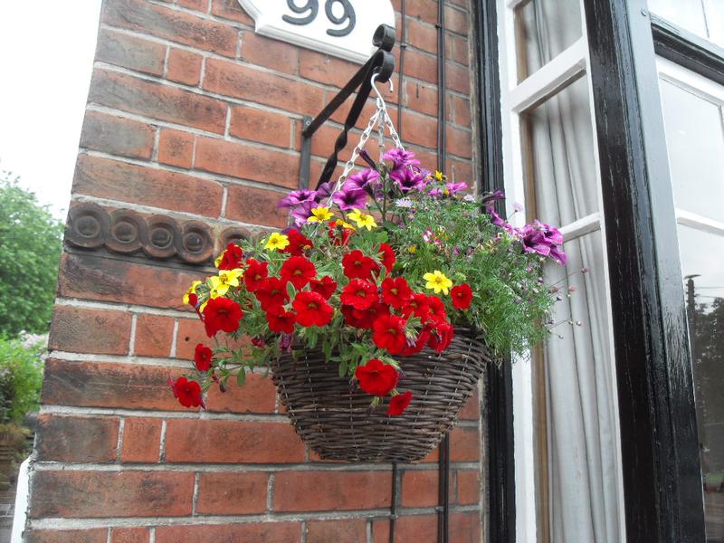 The hanging basket at the front