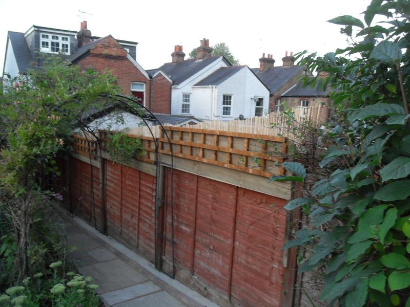 Our neighbours have now put up a bamboo screen on their side of the fence