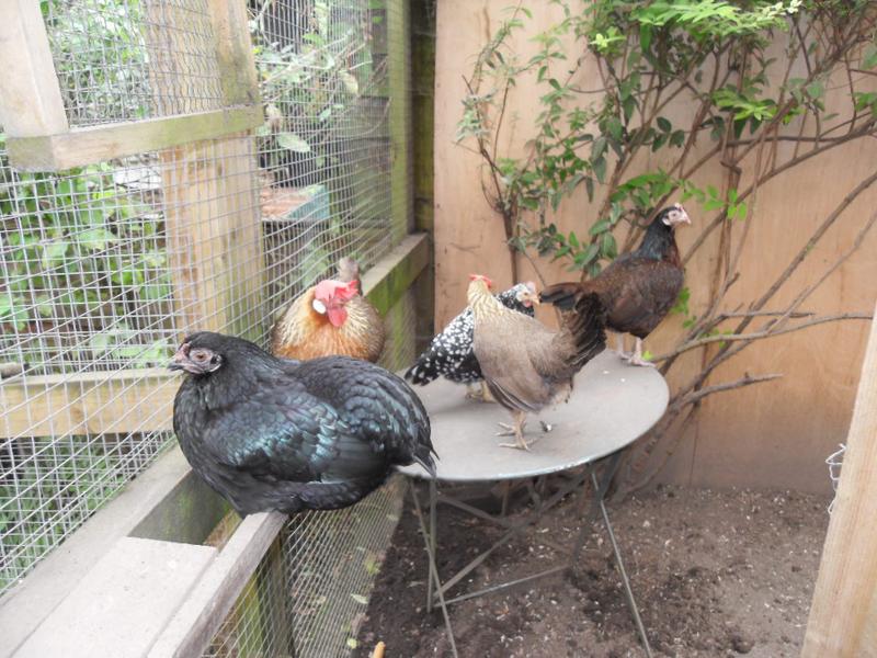 All the original girls piled in to the table corner