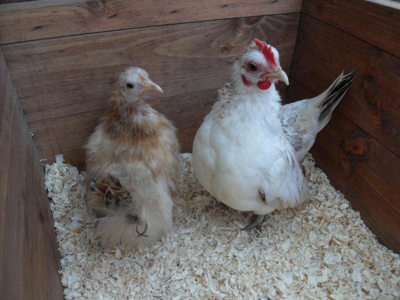 Are you looking at us!