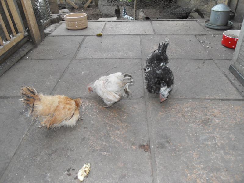 three little girls make the most of the patio area while the bigger girls chill out together