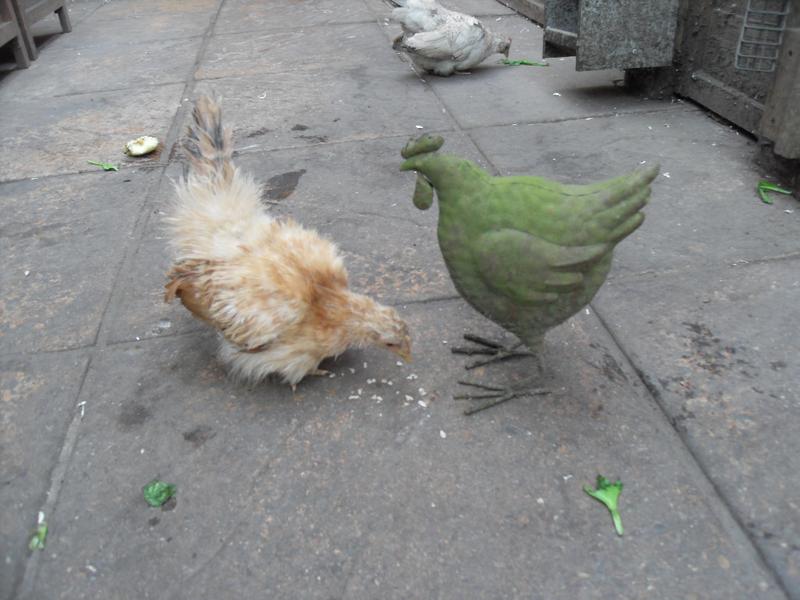 Two rusty chickens