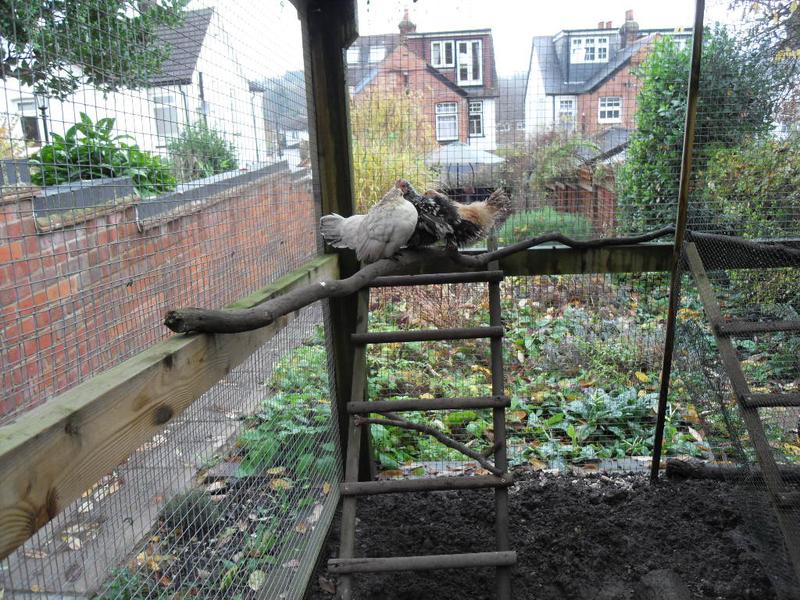 The three little girls like to perch high up