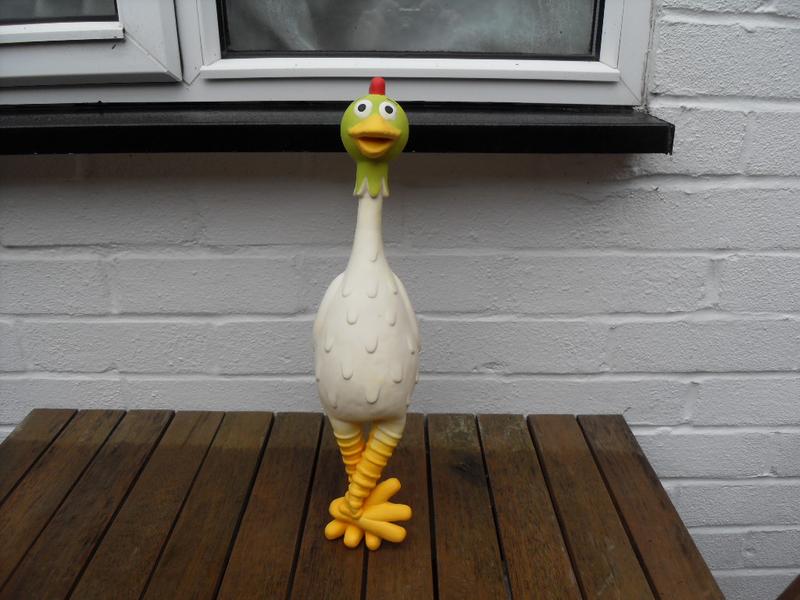 I instantly named her Funky Chicken