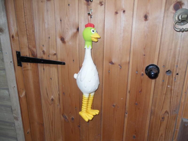 Funky Chicken's new home