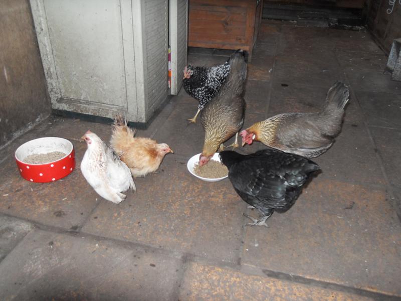 The girls share the mash