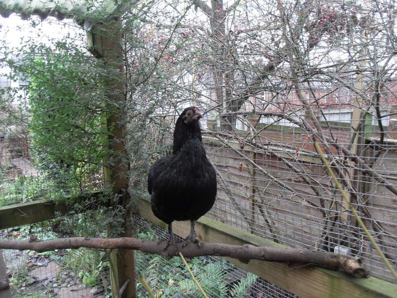 Are you looking at me!