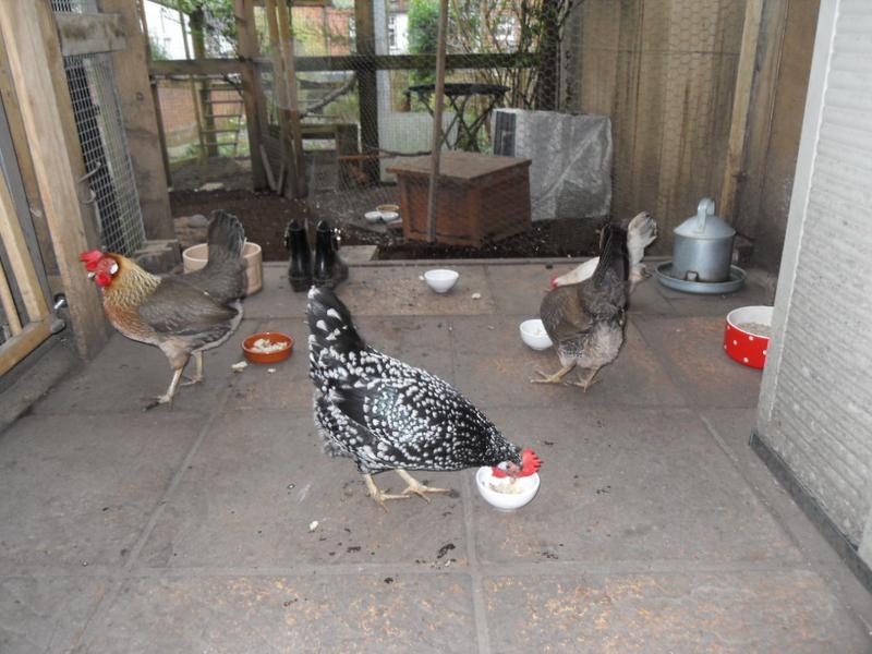 The rest of the girls have their's on the patio