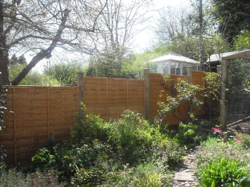 The new fence panels are up