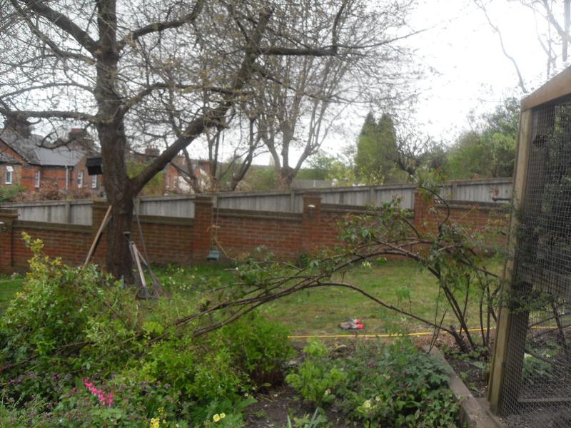 The old fence panels are removed