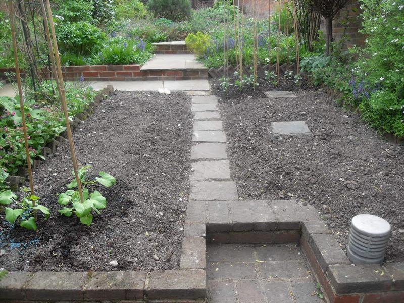 Veg plot