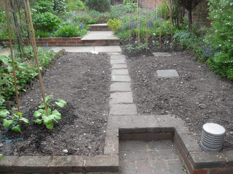 Veg plot